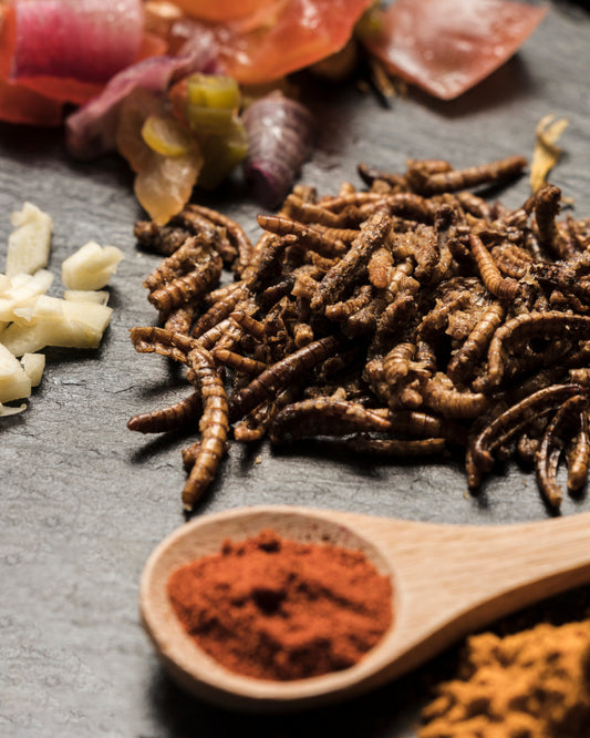Cordyceps: Vorteile, Wirkung, Inhaltsstoffe und die korrekte Einnahme
