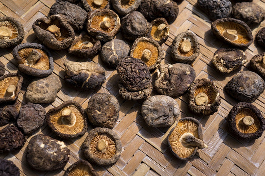 Shiitake mushrooms: effects, preparation and everything you need to know